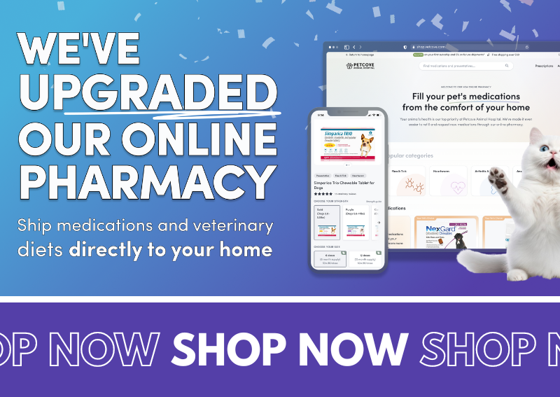 Carousel Slide 1: Shop Our Online Pharmacy!